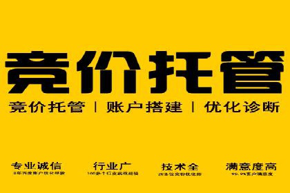 探索sem竞价广告的奥秘：从案例看效果提升